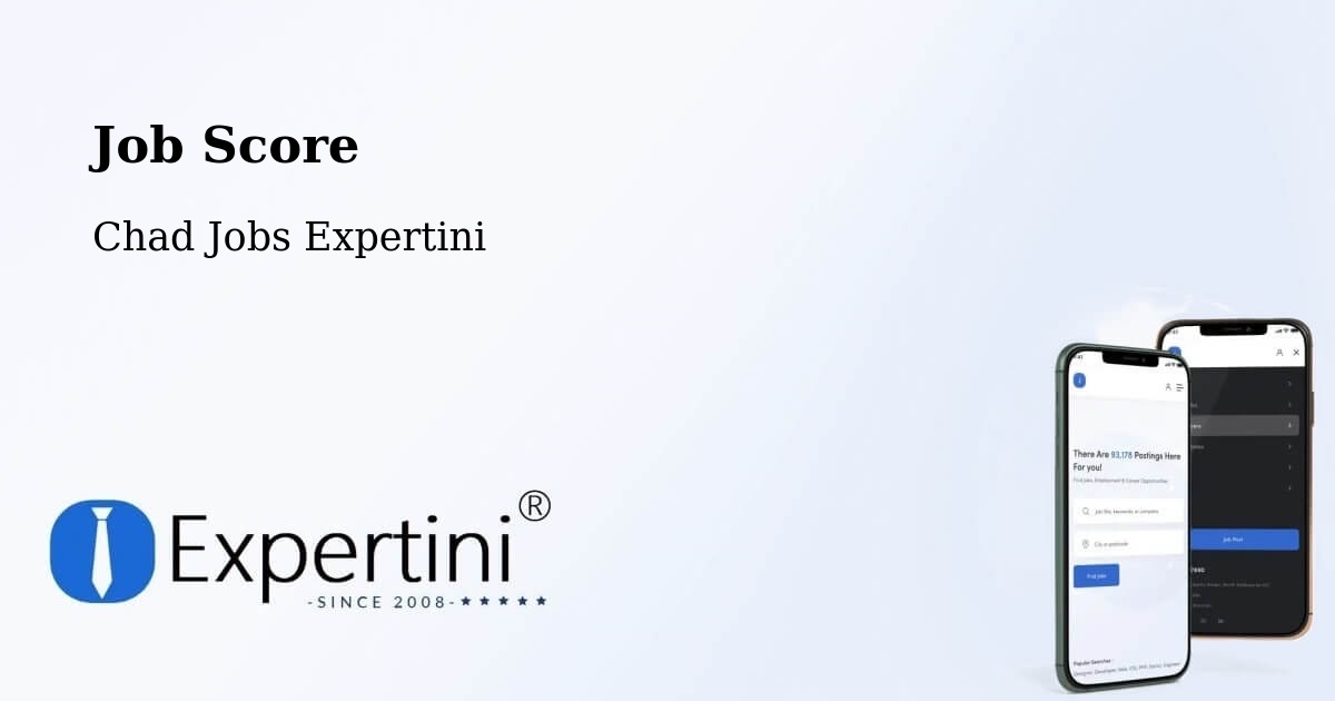 Job Score & Job Description Score Tool – Béré - Chad Jobs Expertini
